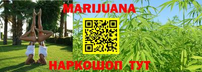 тгк Гай