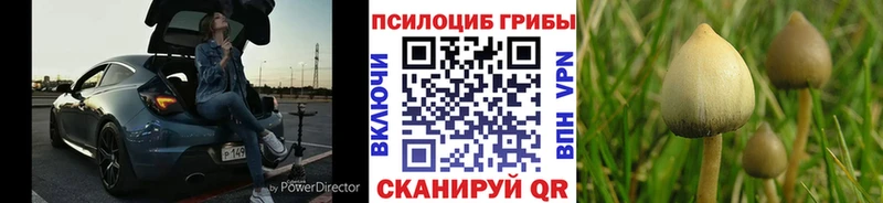 закладка  блэк спрут рабочий сайт  Галлюциногенные грибы Cubensis  Йошкар-Ола 