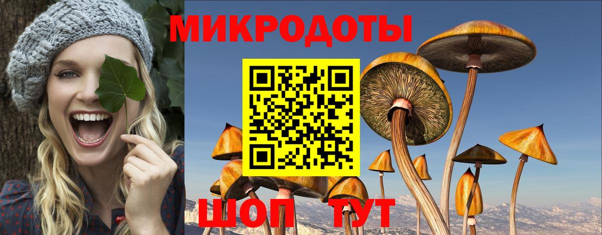 Йошкар-Ола  Галлюциногенные грибы Magic Shrooms  Вход с VPN 