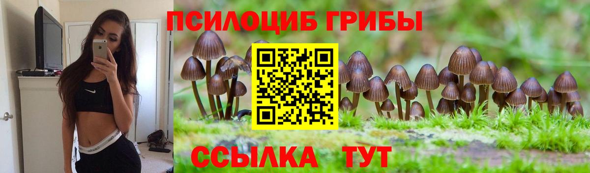 Галлюциногенные грибы мухоморы Йошкар-Ола